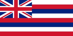 Hawaiian flag. I bet the Americans love it.